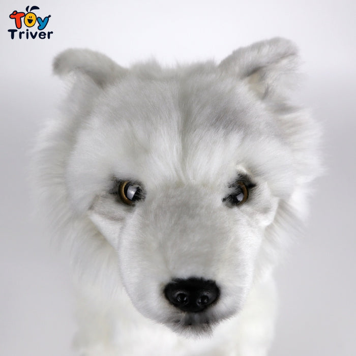 🐺❄️ Peluche Loup Blanc – 35 cm | Le Compagnon Majestueux pour des Aventures Enneigées | Cadeau Parfait | Certifié CE 🌟