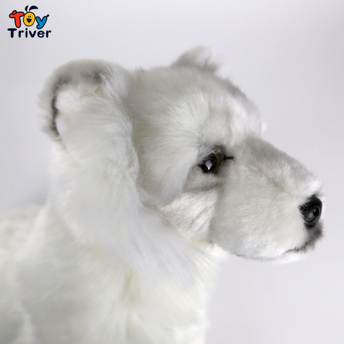 🐺❄️ Peluche Loup Blanc – 35 cm | Le Compagnon Majestueux pour des Aventures Enneigées | Cadeau Parfait | Certifié CE 🌟